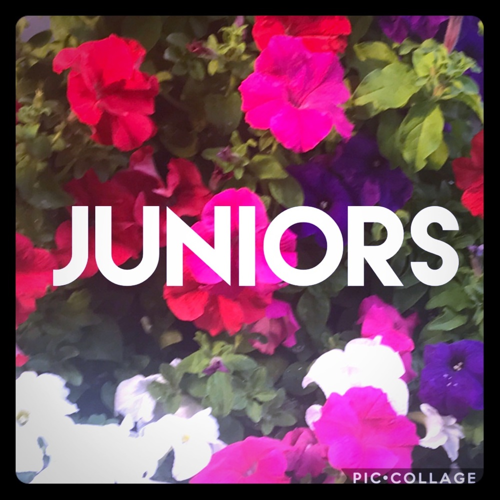 Juniors Section